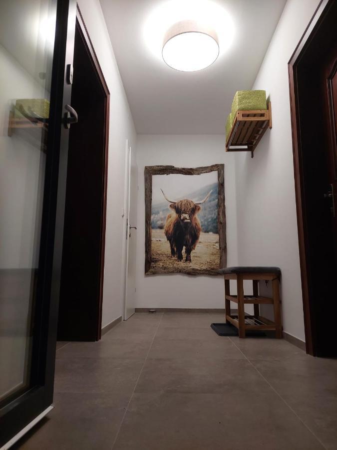 Dolomitenhome Apartments Patriasdorf エクステリア 写真